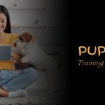 Las 7 mejores aplicaciones de entrenamiento de cachorros en Android e iOS