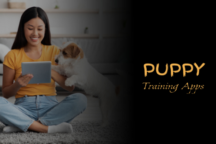 mejores aplicaciones de entrenamiento de cachorros