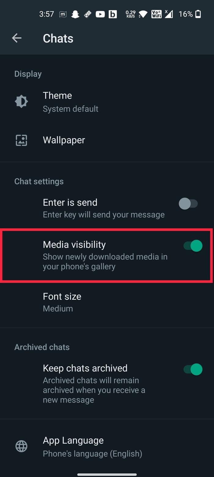 visibilidad de los medios de whatsapp