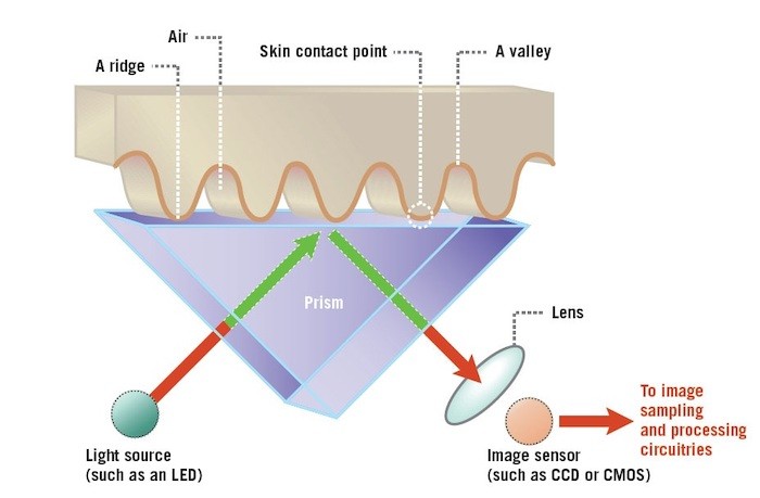 explicado: diferentes tipos de escáneres de huellas dactilares - escáner óptico de huellas dactilares
